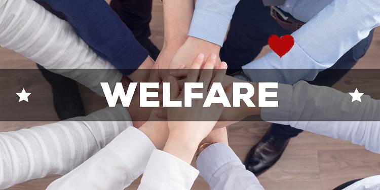The Welfare State Dilemma: Balancing Act, Inequalities, and Economic Impact